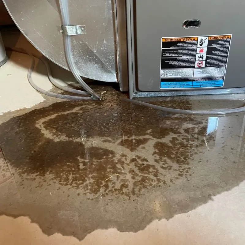 Pipe Burst and Leak Restoration in Saint Francis, WI