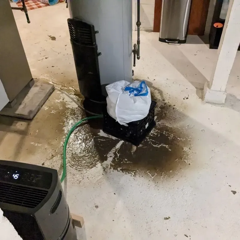 Sewage Backup Cleanup Service in Saint Francis, WI